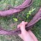 6Ft Artificial Thick Trunk Vine Branch with Moss Faux Climbing Tree Garland Bendable Jungle Plant Stem for Wall Hanging Wedding Garden Home Forest Party Decoration